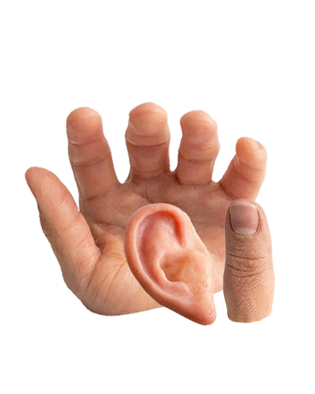 Prótesis estética de mano y oreja