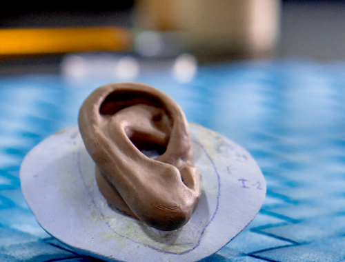 modelado de oído